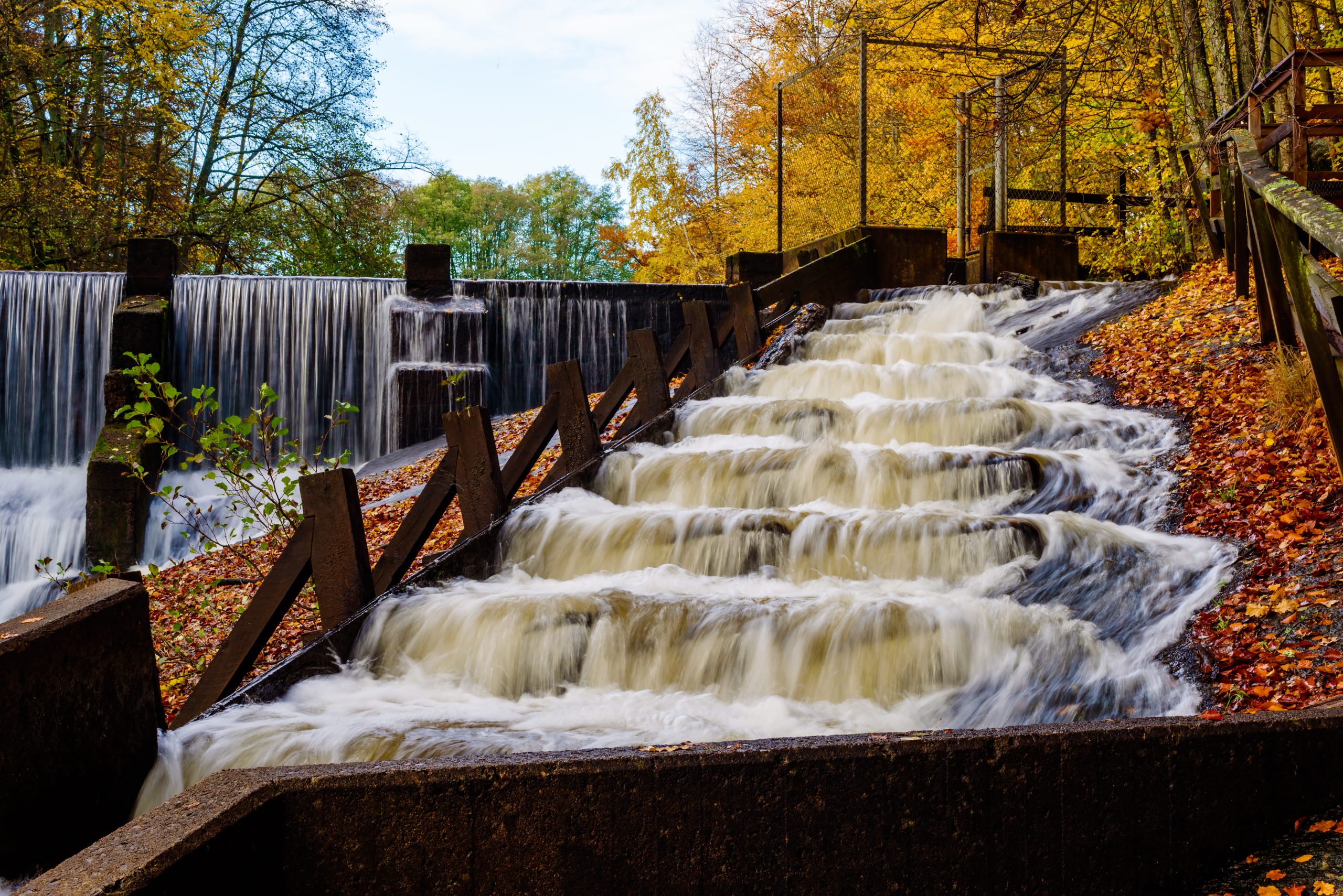 Salmon ladder